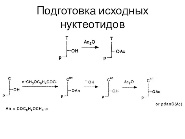 Подготовка исходных нуктеотидов