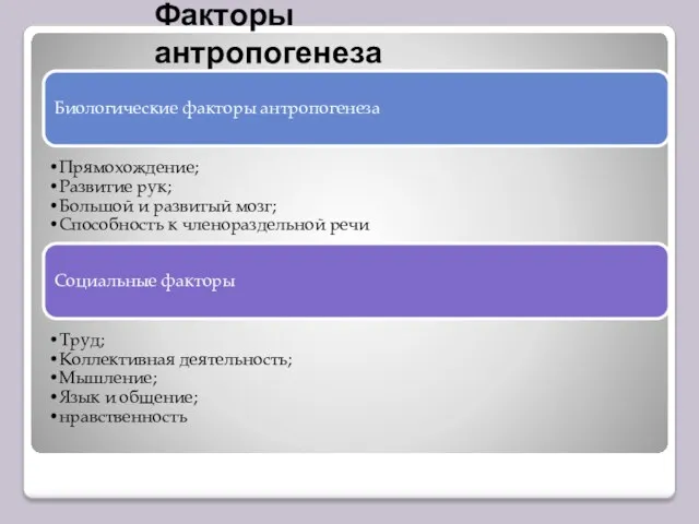 Факторы антропогенеза Биологические факторы антропогенеза Прямохождение; Развитие рук; Большой и