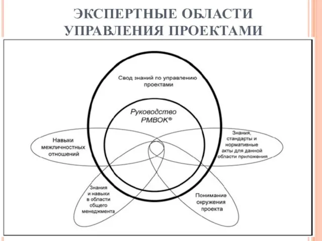 ЭКСПЕРТНЫЕ ОБЛАСТИ УПРАВЛЕНИЯ ПРОЕКТАМИ