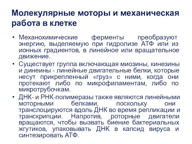 Молекулярные моторы и механическая работа в клетке Механохимические ферменты преобразуют