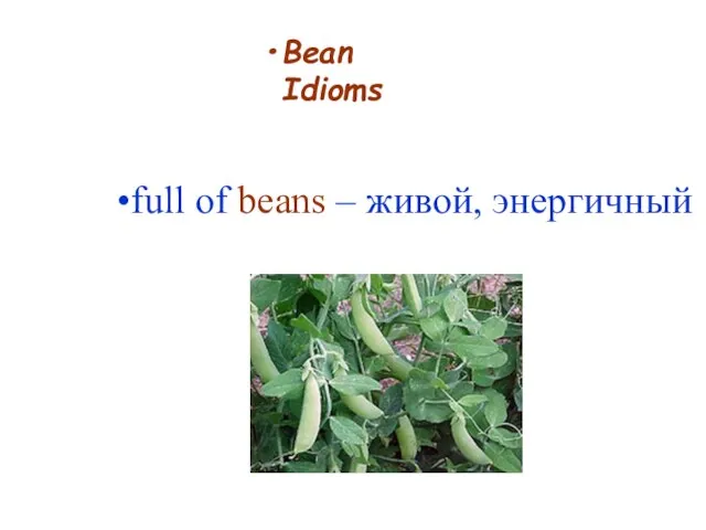 Bean Idioms full of beans – живой, энергичный