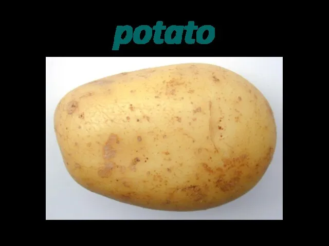 potato