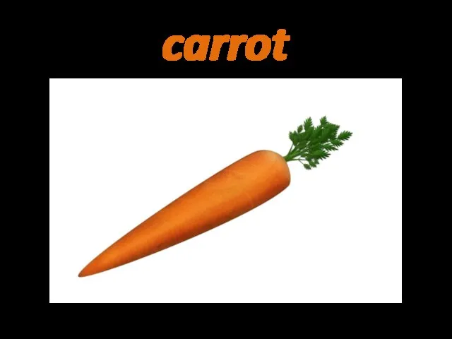 carrot