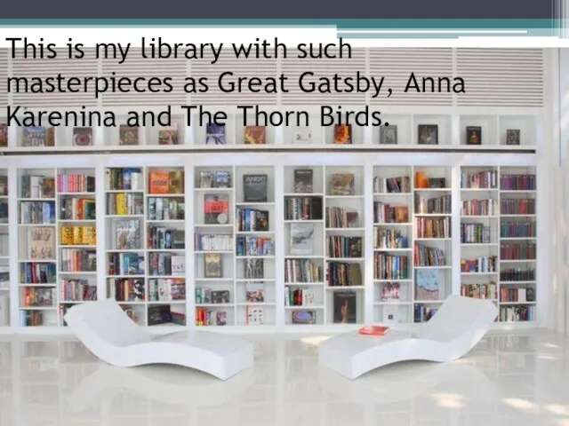 This is my library with such masterpieces as Great Gatsby, Anna Karenina and The Thorn Birds.