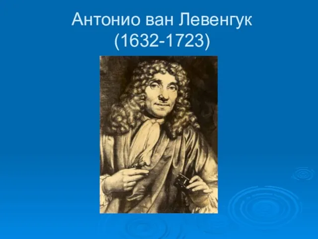 Антонио ван Левенгук (1632-1723)