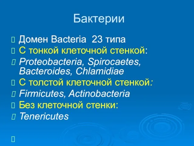 Бактерии Домен Bacteria 23 типа С тонкой клеточной стенкой: Proteobacteria,