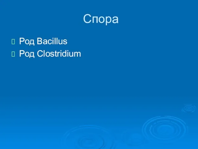 Спора Род Bacillus Род Clostridium