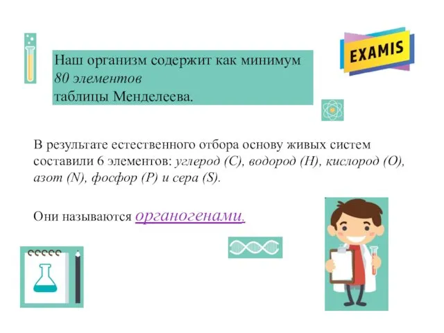 Наш организм содержит как минимум 80 элементов таблицы Менделеева. В