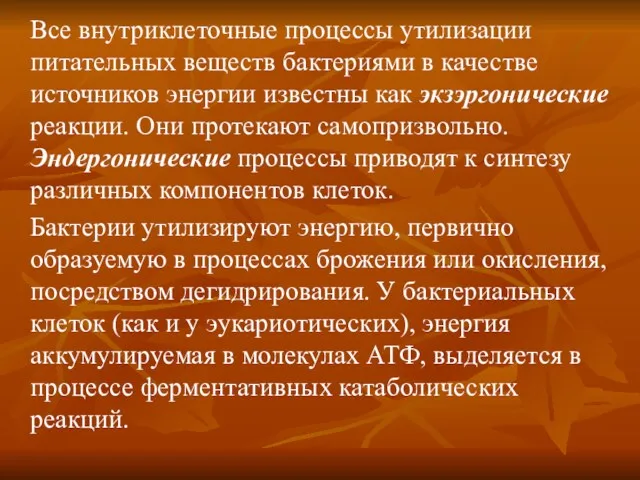 Все внутриклеточные процессы утилизации питательных веществ бактериями в качестве источников