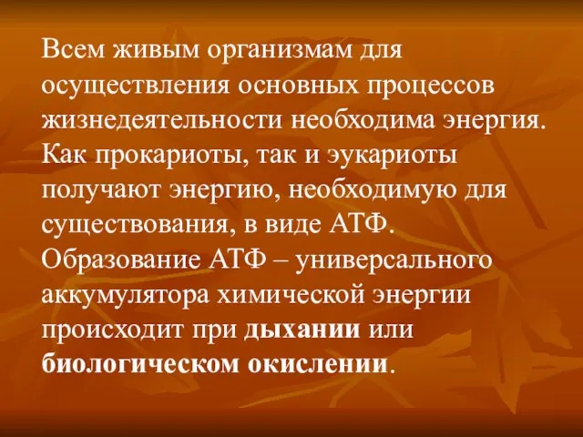 Всем живым организмам для осуществления основных процессов жизнедеятельности необходима энергия.