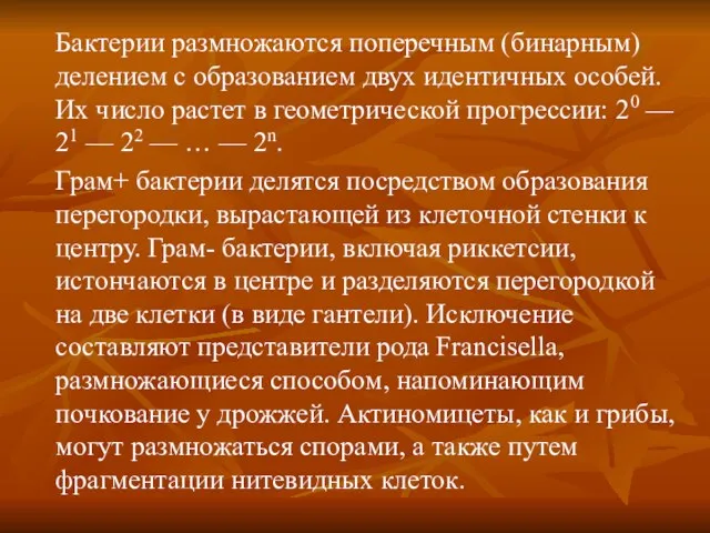 Бактерии размножаются поперечным (бинарным) делением с образованием двух идентичных особей.