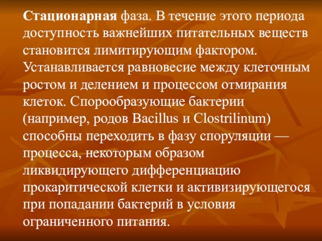 Стационарная фаза. В течение этого периода доступность важнейших питательных веществ