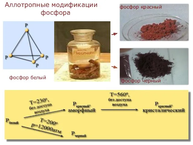 Аллотропные модификации фосфора фосфор белый фосфор черный фосфор красный