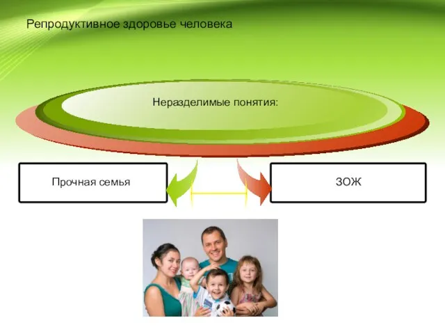 Репродуктивное здоровье человека Прочная семья Неразделимые понятия: ЗОЖ