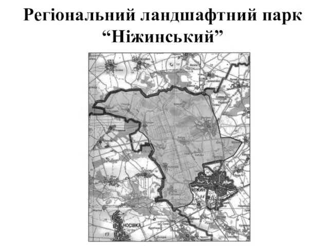 Регіональний ландшафтний парк “Ніжинський”