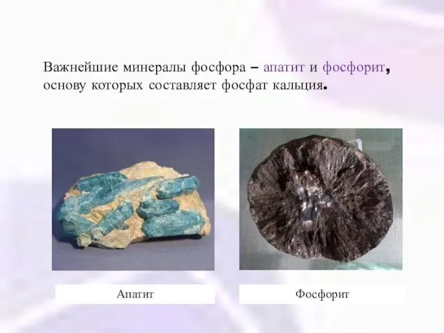 Важнейшие минералы фосфора – апатит и фосфорит, основу которых составляет фосфат кальция. Апатит Фосфорит