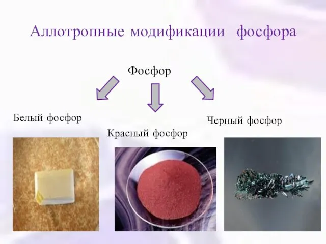 Аллотропные модификации фосфора Фосфор Белый фосфор Красный фосфор Черный фосфор