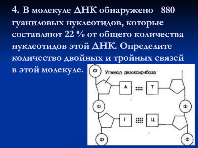 4. В молекуле ДНК обнаружено 880 гуаниловых нуклеотидов, которые составляют