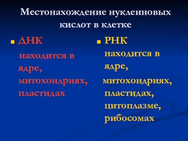 Местонахождение нуклеиновых кислот в клетке ДНК находится в ядре, митохондриях,