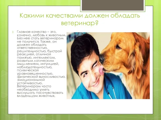 Какими качествами должен обладать ветеринар? Главное качество – это, конечно,