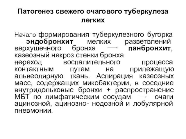 Патогенез свежего очагового туберкулеза легких Начало формирования туберкулезного бугорка эндобронхит