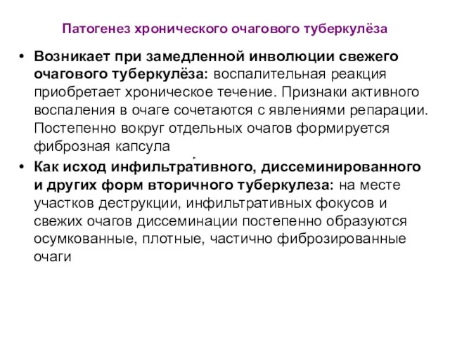 Патогенез хронического очагового туберкулёза Возникает при замедленной инволюции свежего очагового