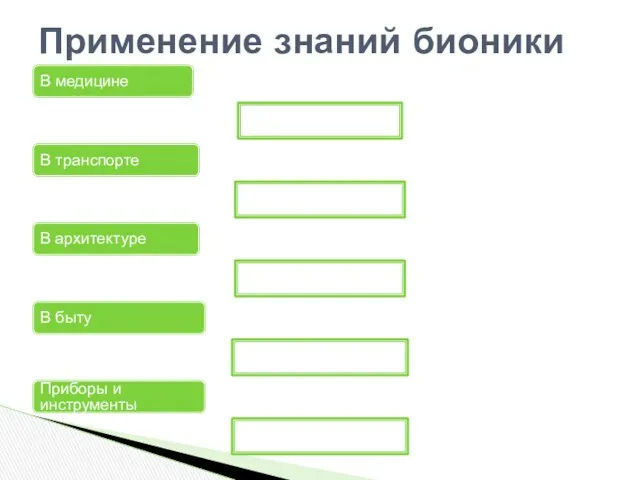 В медицине В транспорте В архитектуре В быту Приборы и инструменты Применение знаний бионики