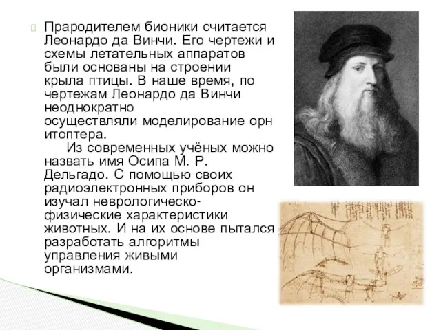 Прародителем бионики считается Леонардо да Винчи. Его чертежи и схемы летательных аппаратов были