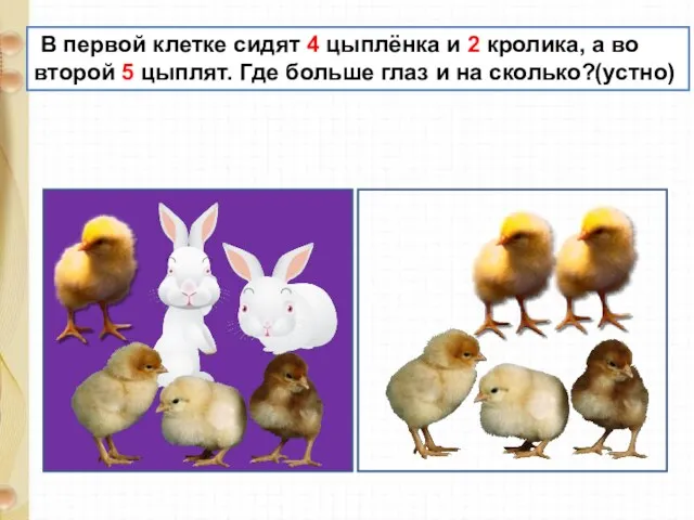 В первой клетке сидят 4 цыплёнка и 2 кролика, а