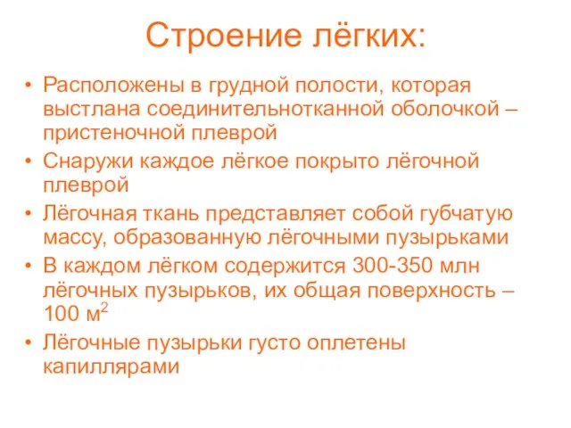 Строение лёгких: Расположены в грудной полости, которая выстлана соединительнотканной оболочкой – пристеночной плеврой