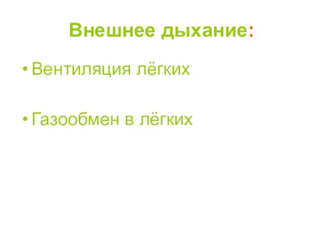 Внешнее дыхание: Вентиляция лёгких Газообмен в лёгких