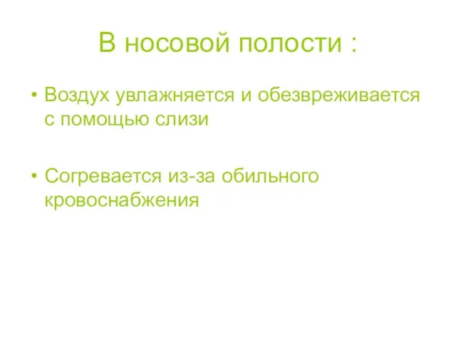 В носовой полости : Воздух увлажняется и обезвреживается с помощью слизи Согревается из-за обильного кровоснабжения