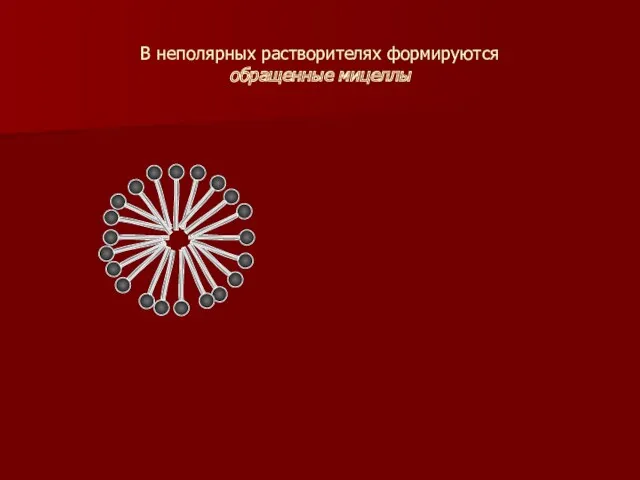 В неполярных растворителях формируются обращенные мицеллы