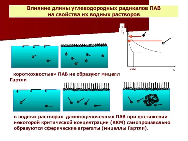 Влияние длины углеводородных радикалов ПАВ на свойства их водных растворов