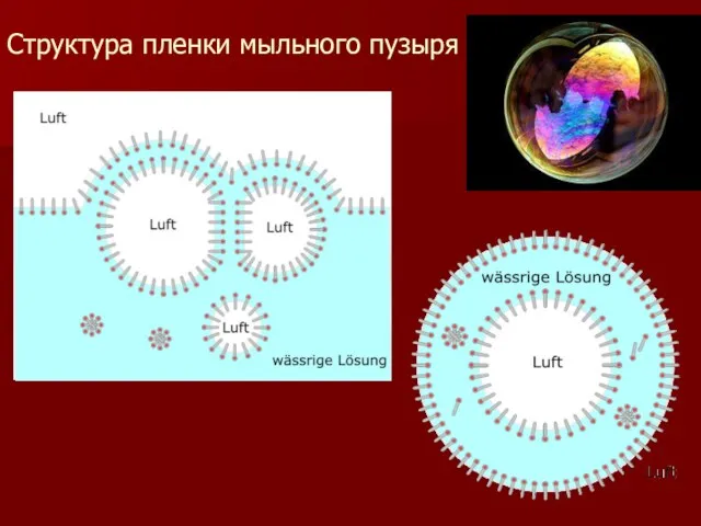 Структура пленки мыльного пузыря