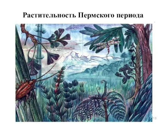 Растительность Пермского периода