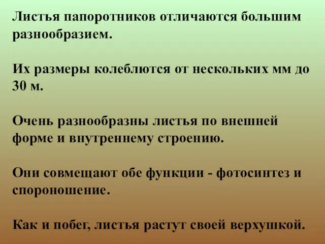 Листья папоротников отличаются большим разнообразием. Их размеры колеблются от нескольких