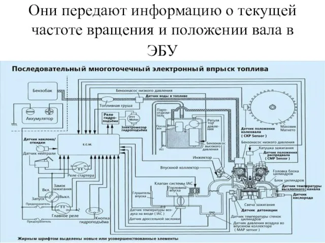 Они передают информацию о текущей частоте вращения и положении вала в ЭБУ