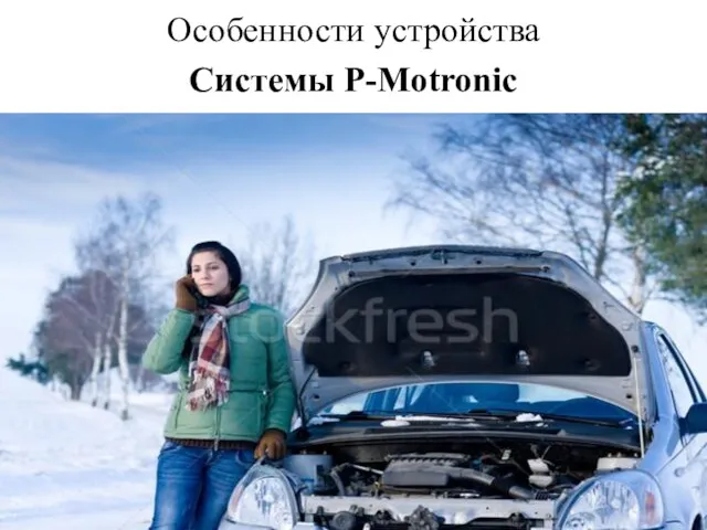 Особенности устройства Системы P-Motronic