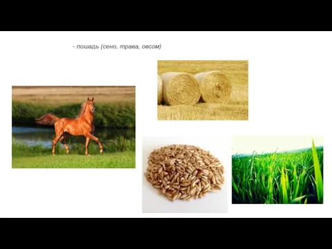 - лошадь (сено, трава, овсом)