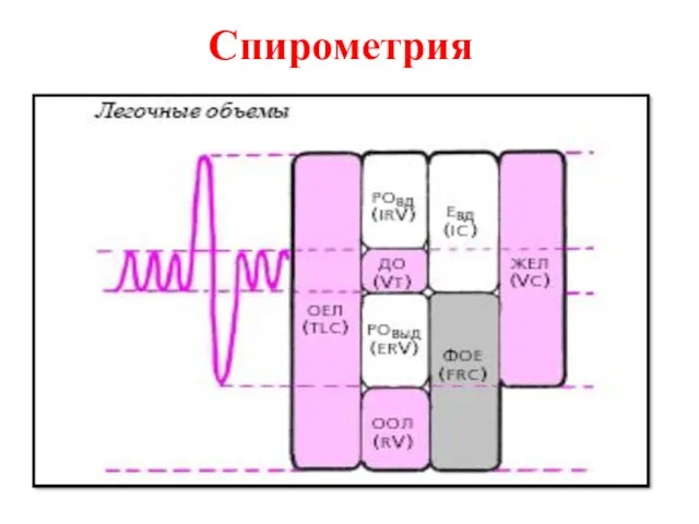 Спирометрия