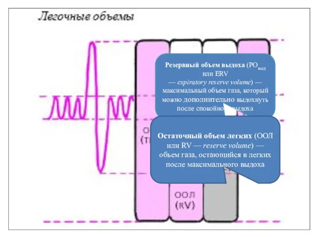 Резервный объем выдоха (РОвыд или ERV — expiratory reserve volume)