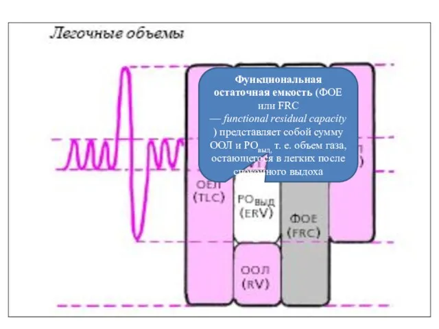 Функциональная остаточная емкость (ФОЕ или FRC — functional residual capacity)