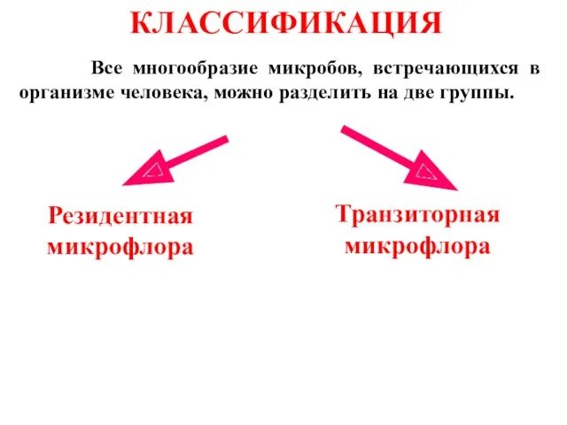 Резидентная микрофлора Транзиторная микрофлора Все многообразие микробов, встречающихся в организме