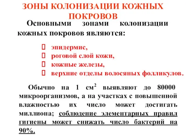 эпидермис, роговой слой кожи, кожные железы, верхние отделы волосяных фолликулов.