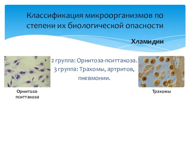 2 группа: Орнитоза-пситтакоза. 3 группа: Трахомы, артритов, пневмонии. Классификация микроорганизмов