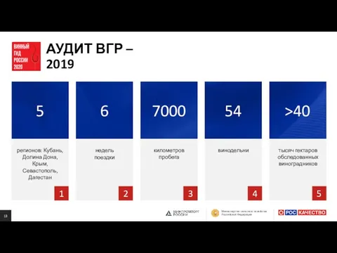 АУДИТ ВГР – 2019 регионов: Кубань, Долина Дона, Крым, Севастополь,