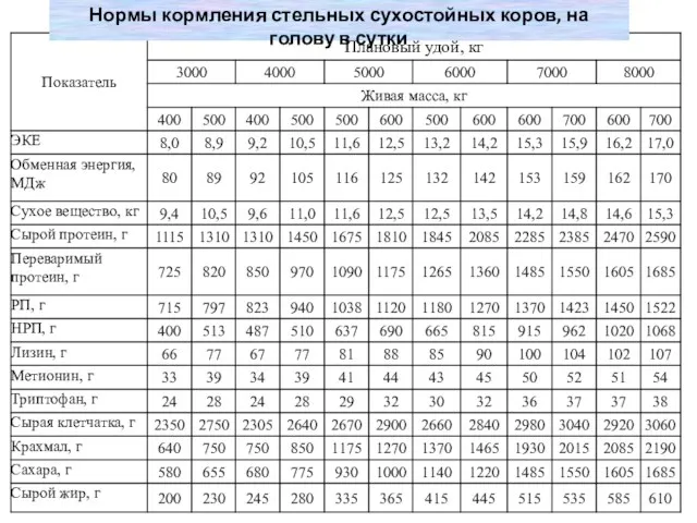 Нормы кормления стельных сухостойных коров, на голову в сутки