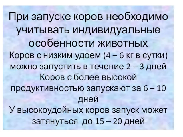 При запуске коров необходимо учитывать индивидуальные особенности животных Коров с