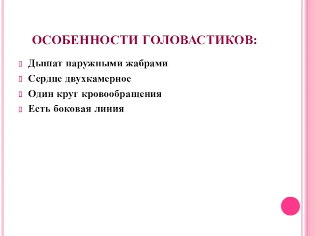 ОСОБЕННОСТИ ГОЛОВАСТИКОВ: Дышат наружными жабрами Сердце двухкамерное Один круг кровообращения Есть боковая линия